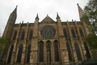DSC03537.JPG
