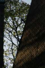 DSC03578.JPG