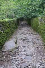 DSC03616.JPG
