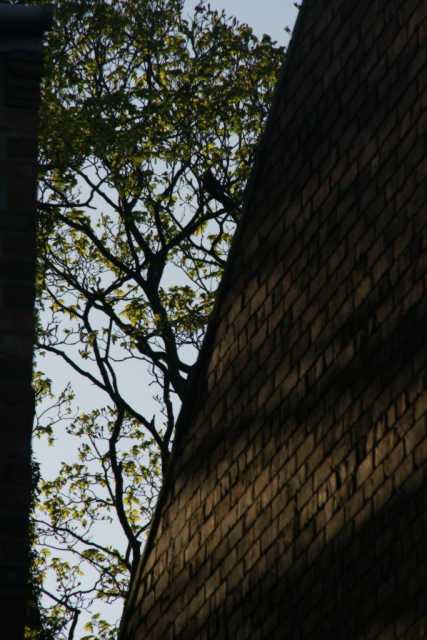 DSC03578.JPG