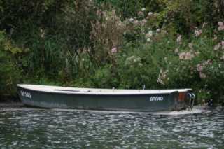 DSC06536.JPG