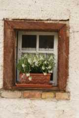 DSC07121.JPG