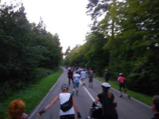 IMGP0766.JPG