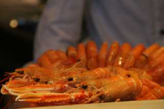 dsc08587.jpg