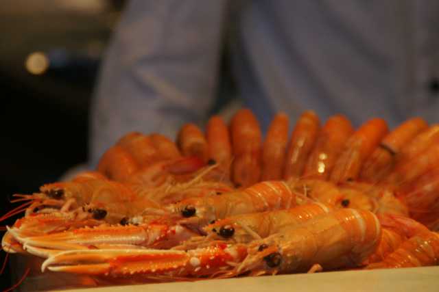 dsc08587.jpg