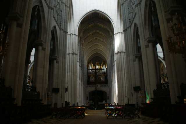 dsc09377.jpg
