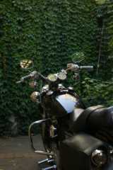DSC09465.JPG