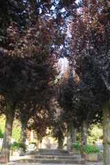 DSC09575.JPG