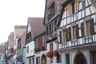 DSC09605.JPG