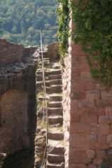 DSC09637.JPG