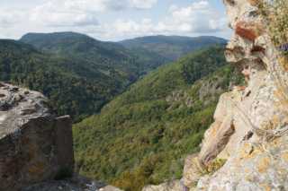 DSC09670.JPG