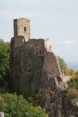 DSC09687.JPG