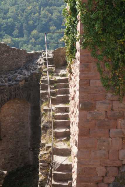 DSC09637.JPG