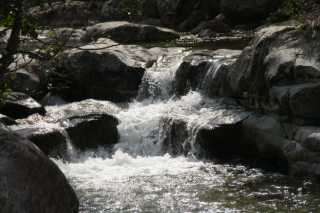 DSC00494.JPG