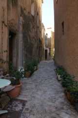 DSC00810.JPG