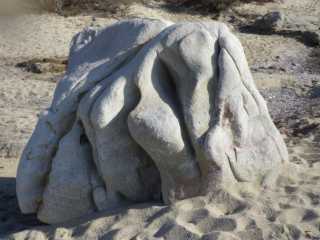 IMGP0866.JPG