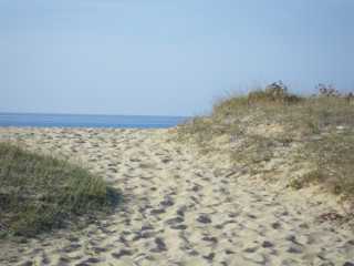 IMGP0883.JPG