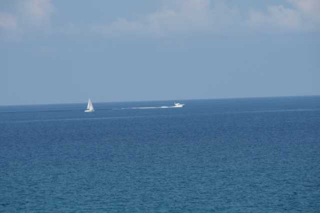 DSC00313.JPG