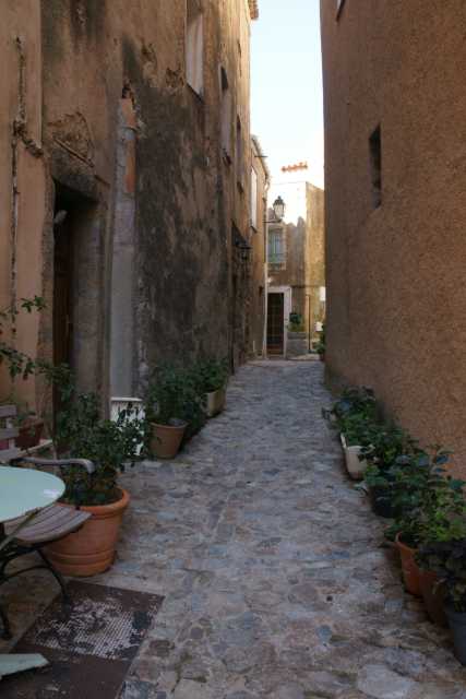 DSC00810.JPG