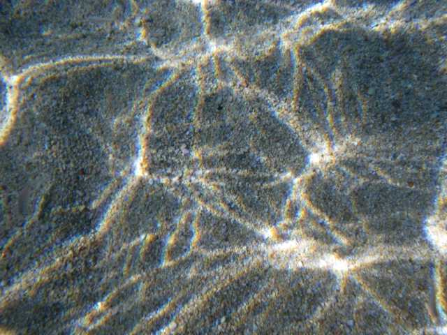 IMGP0817.JPG