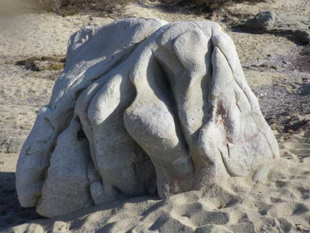 IMGP0866.JPG