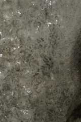 DSC02540.JPG