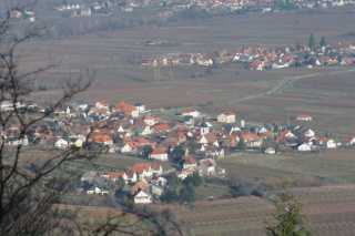 DSC01914.JPG