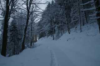 DSC03277.JPG