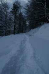 DSC03280.JPG