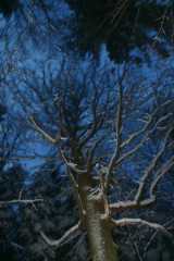 DSC03286.JPG