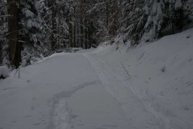 DSC03272.JPG