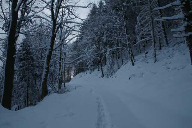 DSC03277.JPG