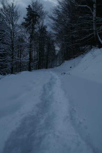 DSC03280.JPG