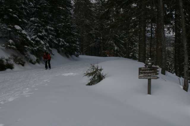DSC04144.JPG