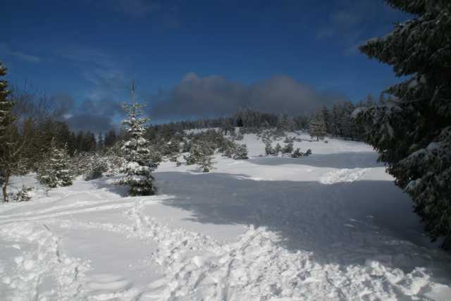 DSC04183.JPG