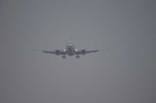 DSC03680.JPG