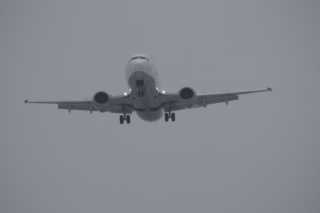 DSC03692.JPG