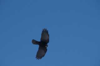 DSC04415.JPG