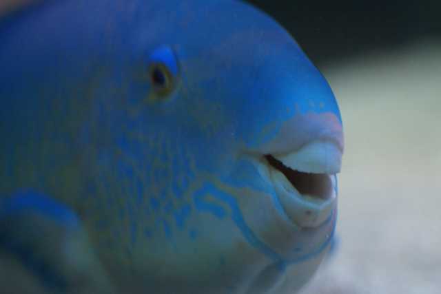 DSC04510.JPG