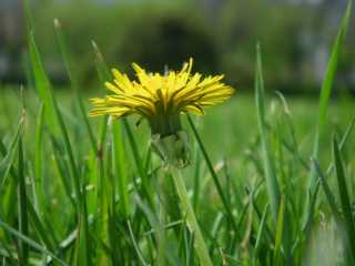 IMGP1106.JPG
