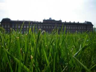 IMGP1109.JPG