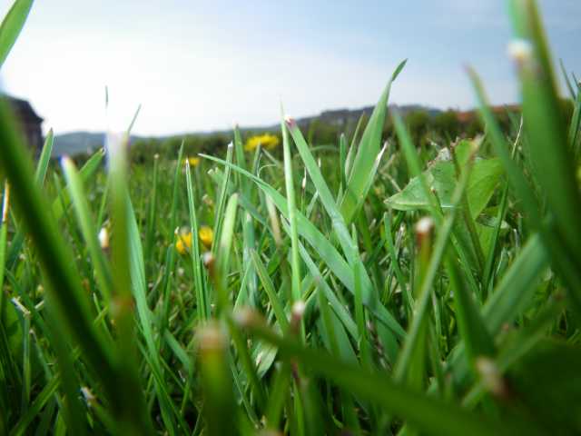 IMGP1105.JPG