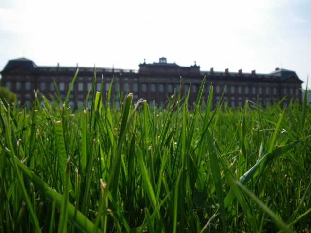 IMGP1109.JPG