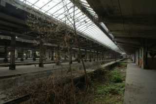 DSC06628.JPG