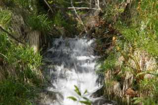 DSC05431.JPG