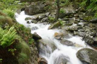 DSC05551.JPG