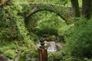 DSC05565.JPG