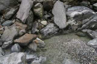 DSC05705.JPG