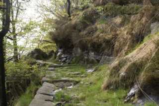 DSC05913.JPG