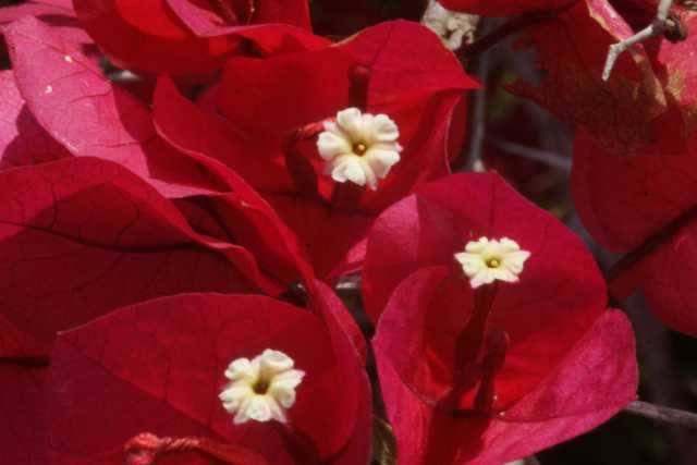 DSC06800.JPG
